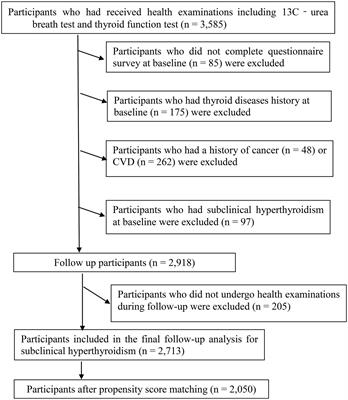 Helicobacter pylori infection increase the risk of subclinical hyperthyroidism in middle-aged and elderly women independent of dietary factors: Results from the Tianjin chronic low-grade systemic inflammation and health cohort study in China